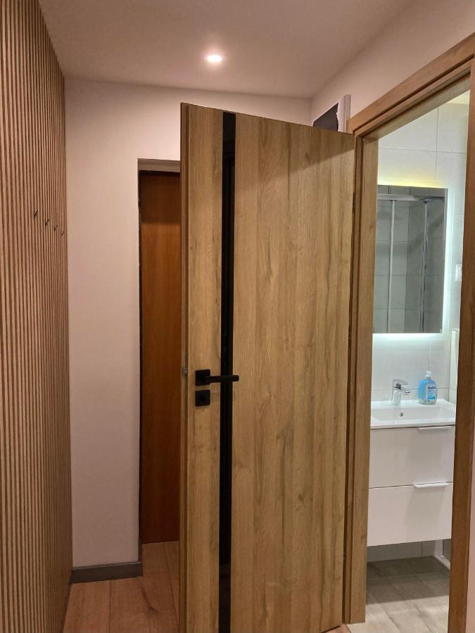 Apartment 221 Przy Niedzwiadku