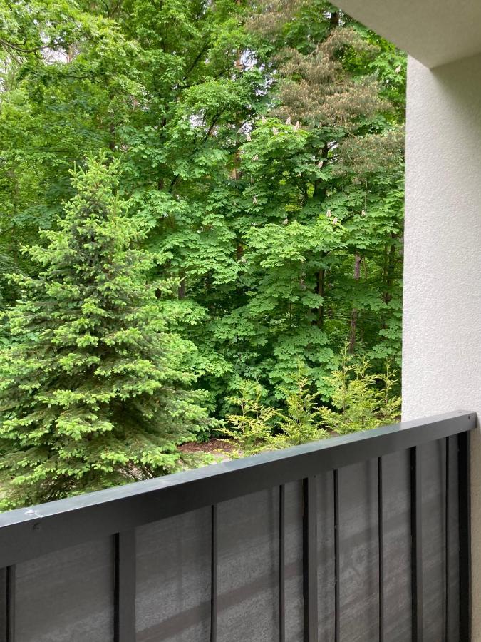 Apartment 221 Przy Niedzwiadku *